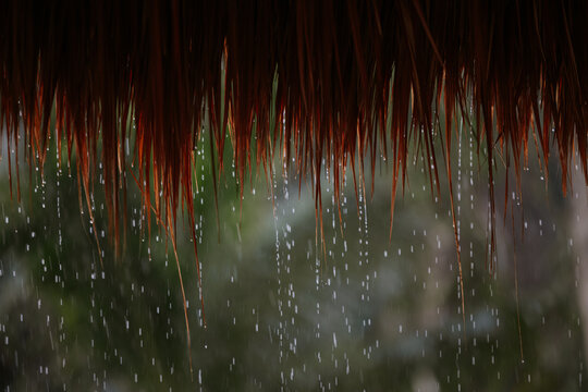 Rainfall Dripping from Palapa Roof in Tulum, Mexico