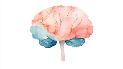 Exploring Brain Functionality Artistic Studio Watercolor Illustration Vibrant Palette Creative Perspective