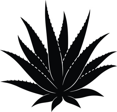 black aloe vera plant silhouette clip art preview
