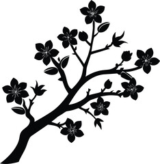 apricot blossom silhouette vector on white 