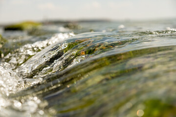 Waves gently cascade over vibrant green seaweed along a tranquil shoreline on a sunny day by the ocean