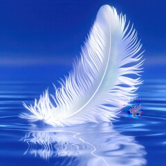 Delicate Feather on Water