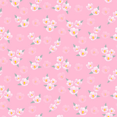 Seamless pattern of Crocus albiflorus flowers. Pink floral print