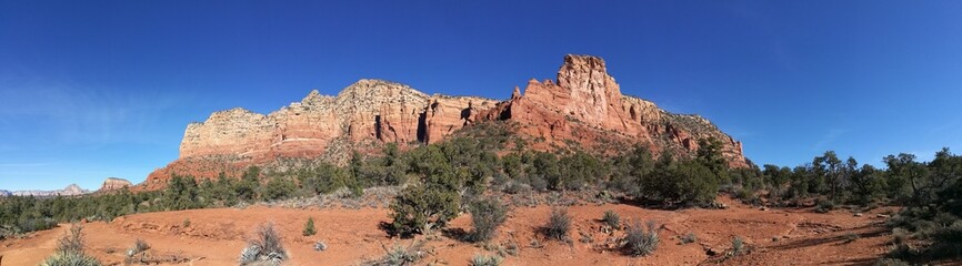 Fototapeta premium View of red rock mountain in Sedona
