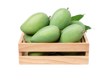 Green mangoes in a box isolated