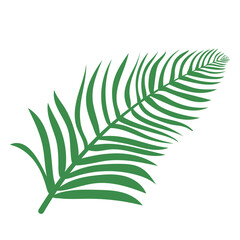 Palm Leaf