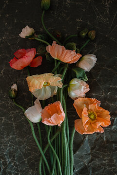 Artistic display of mixed poppy blossoms