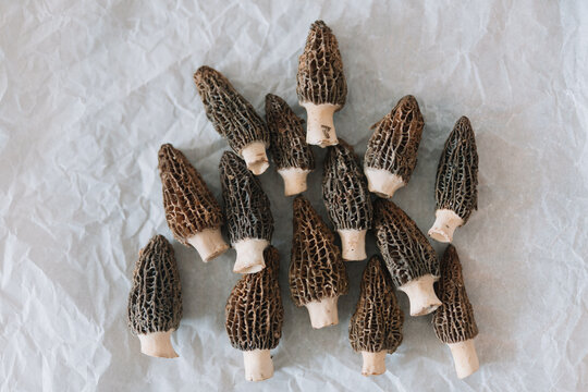 Assorted Morel Mushrooms on Crumpled Paper Surface