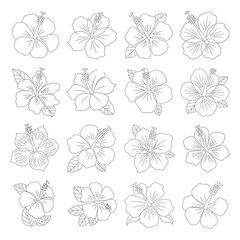 Black and white floral and butterfly seamless pattern design for decoration and art