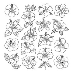 Black and white floral and butterfly seamless pattern design for decoration and art