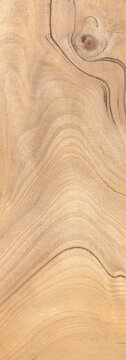 Macro photo of wood cross section Wood grain texture background