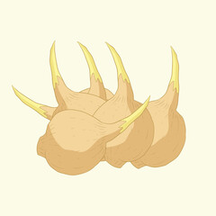 Arrowhead vegetables flat design cartoon illustration