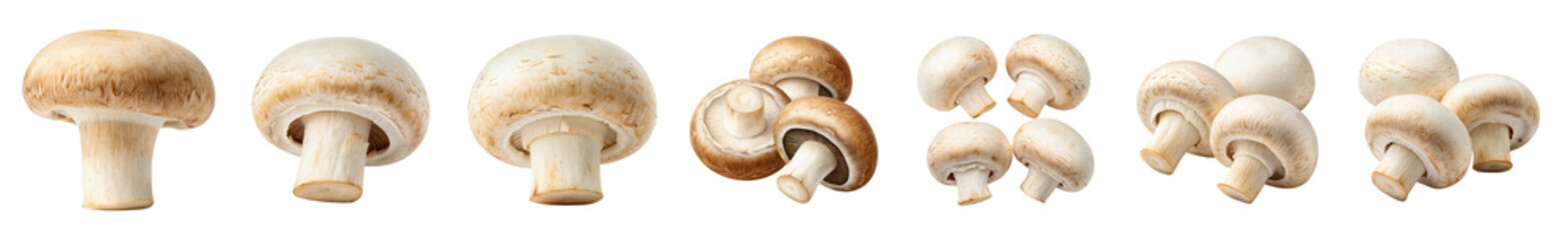 Fototapeta premium A photographic collage of a variety of organic brown and white mushrooms transparent background Generative AI