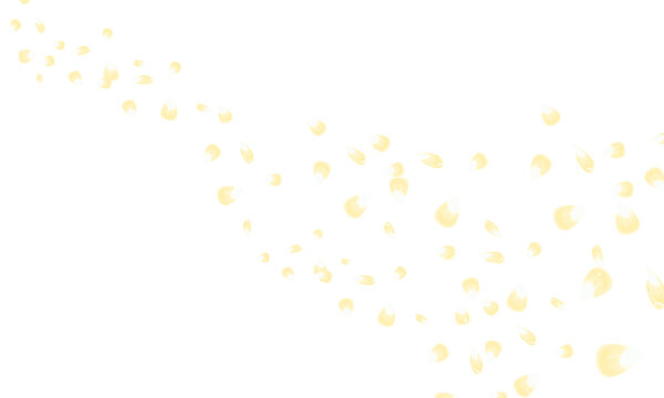黄色のカワイイ花びらとキラキラの光が舞うエフェクト素材の背景壁紙