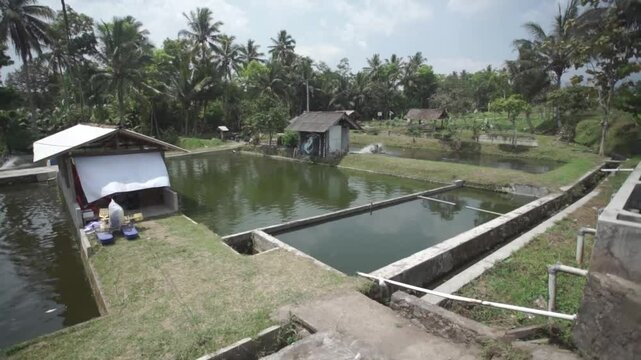 Fish Hatchery Landscape with Various Pond Sizes