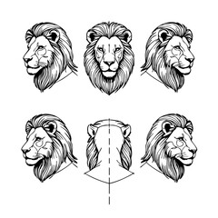Lion Head Vector Illustration Set – Front, Side, and Back Views in Black and White Line Art