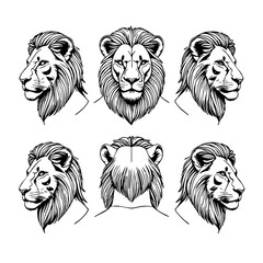 Lion Head Vector Illustration Set – Front, Side, and Back Views in Black and White Line Art