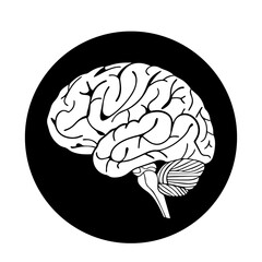 human brain vector illustration