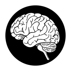 human brain vector illustration