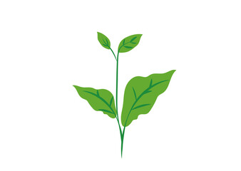 Clip art of simple sprout