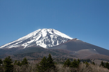 春・5月頃の水ケ塚公園から見た富士山