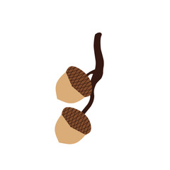 Hand drawn illustration of an acorn. Flat design of acorns. Illustration of ripe brown acorns. 