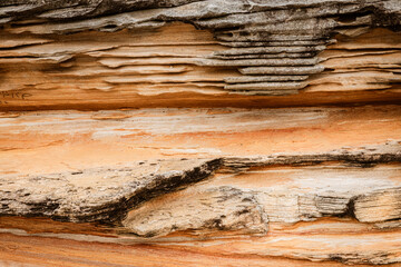 Horizontal stone layers intertwined with natural shapes.