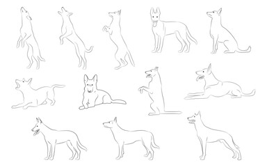 German Shepherd-1 [Converted]