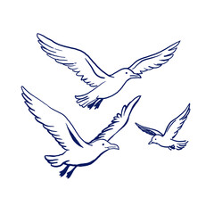 Hand-drawn illustration of three flying seagulls in navy ink. Doodle-style marine line art perfect for summer designs, beach themes, stickers, and isolated decorative elements.