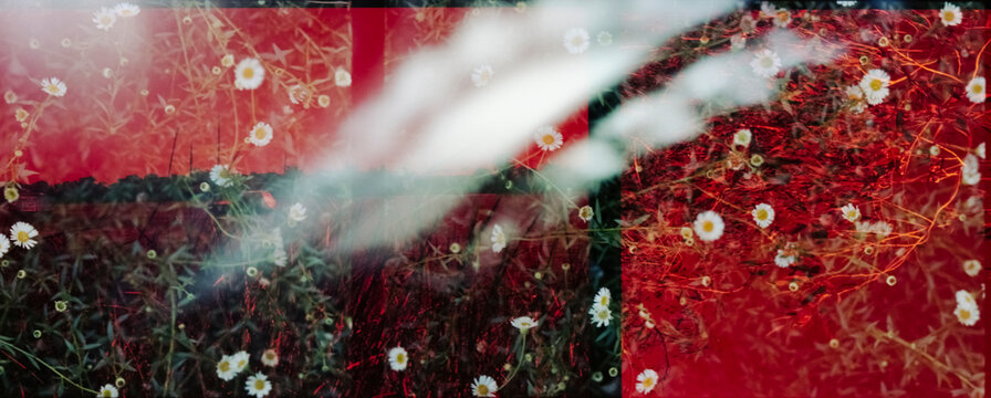 Floral patchwork on film