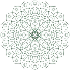 Beautiful flower art and mandala vector design
