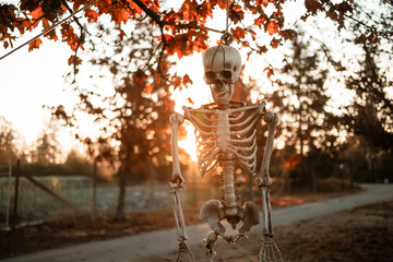 portrait of Halloween Skeleton Hanging in Autumn Glow