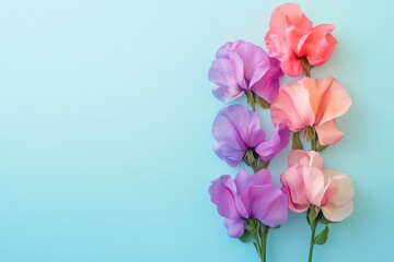Delicate pastel colored sweet peas arranged vertically.