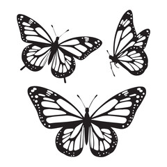 Monarch butterfly silhouettes collection, vector illustration isolated on white background. Closeup design element black butterfly.