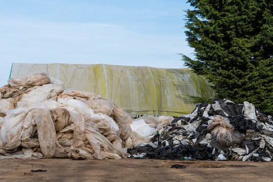 Plastic waste from poly tunnels in a pile, UK