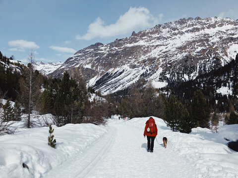 Rear sight of trekker and her dog walking in the snow
