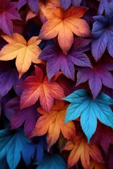 Vibrant Multicolored Leaves in Rich Autumn Palette Display
