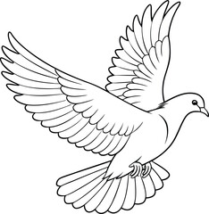 white dove flying