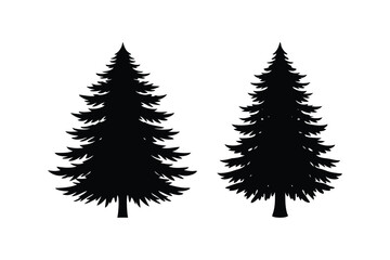 Obraz premium Evergreen conifer silhouette vector on a white background