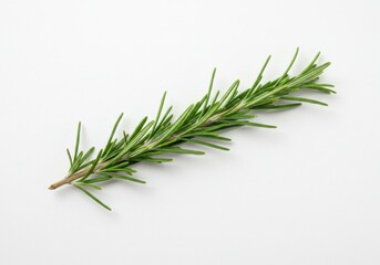 Fototapeta premium Fresh Rosemary Sprig Isolated White Background Culinary Herb Aromatic Plant Ingredient Cooking Food