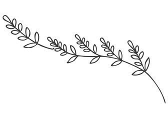 Simple Lavender Line Art, Floral Border Illustration, Nature-Inspired Lavender Design, Cut Out
