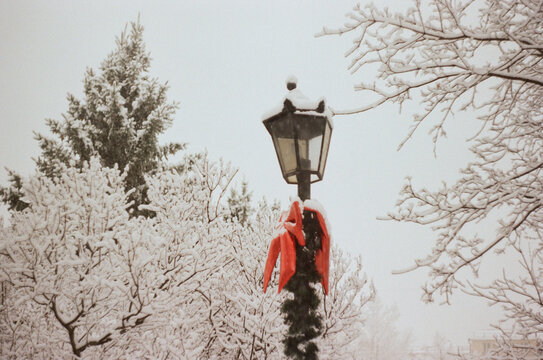 Lantern in the park