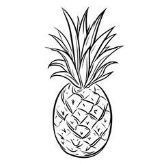 Pineapple single line drawing illustration on white background  