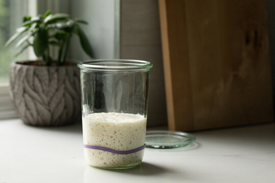 Sourdough Starter