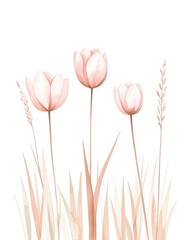 Delicate Pink Tulips with Graceful Green Stems on Black Background