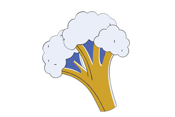 Broccoli Vegetable Vector Illustration on White Background

