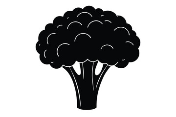 Broccoli Vegetable Vector Illustration on White Background

