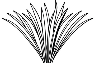 Fototapeta premium Chives Vegetable Vector Illustration on White Background