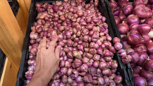 Close-up of a hand picking a shallot from a large pile at a grocery store or market