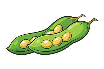 Fava Beans Vegetable Vector Illustration Isolated on White Background